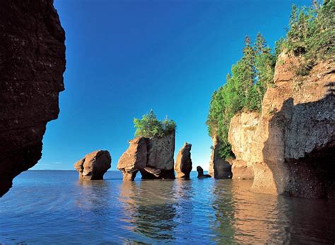 The top 10 attractions in New Brunswick .